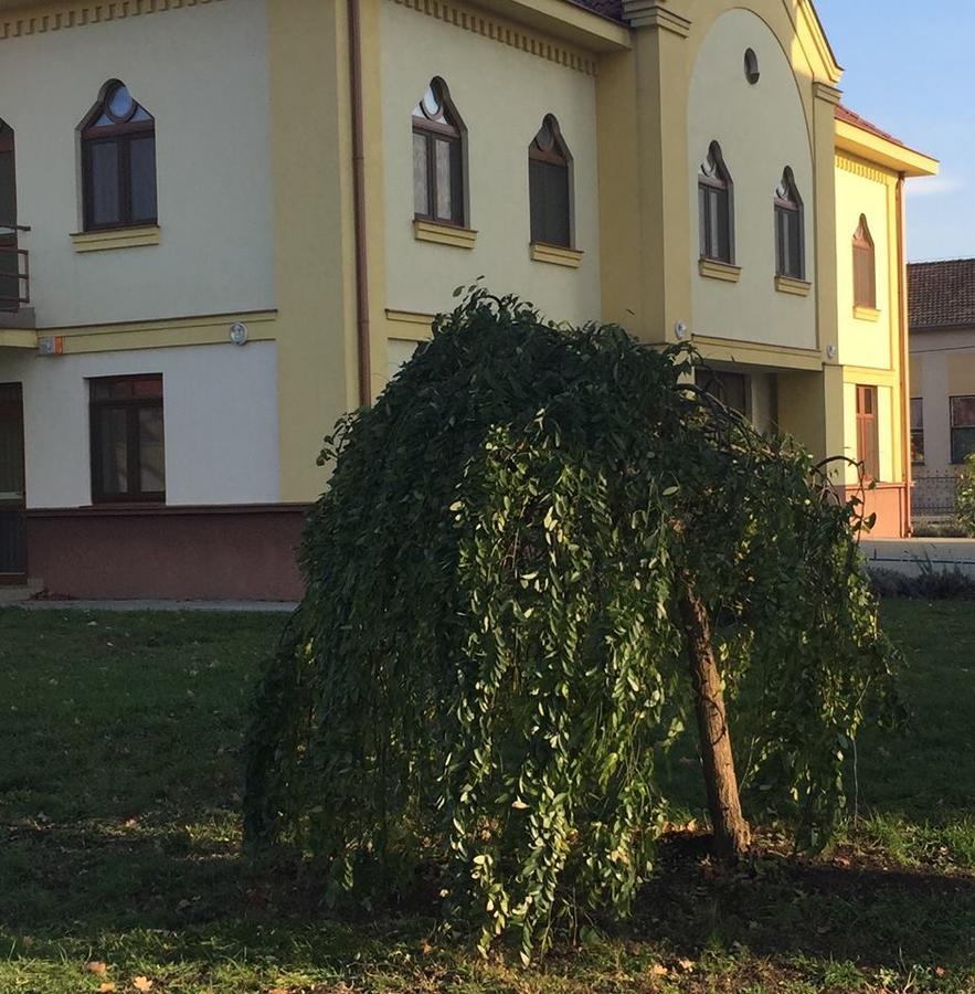 Mamre Szallo Hajduboszormeny Exteriör bild